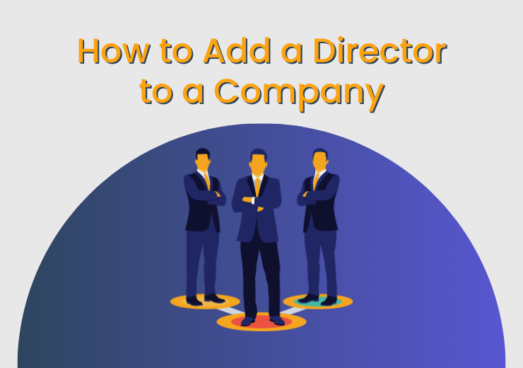 How to add a director