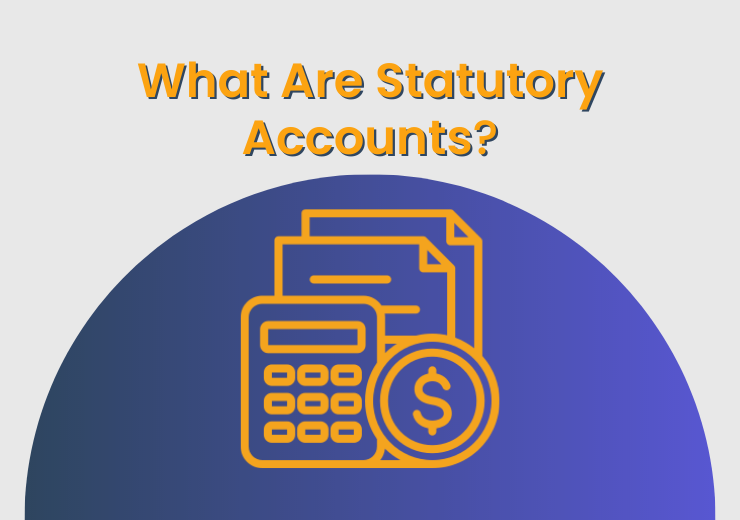 What Are Statutory Accounts