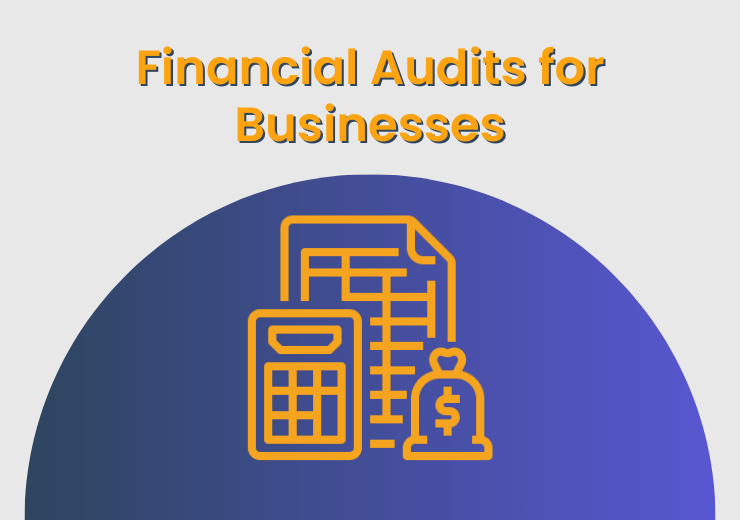 Financial Audits for Businesses