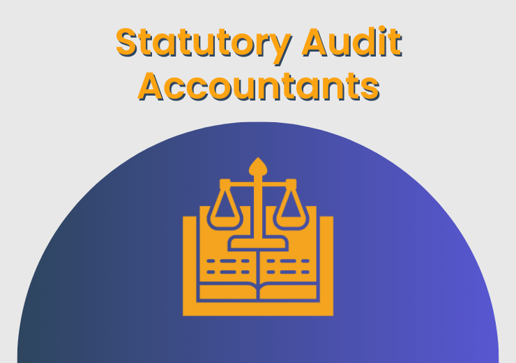 Statutory Audit Accountants