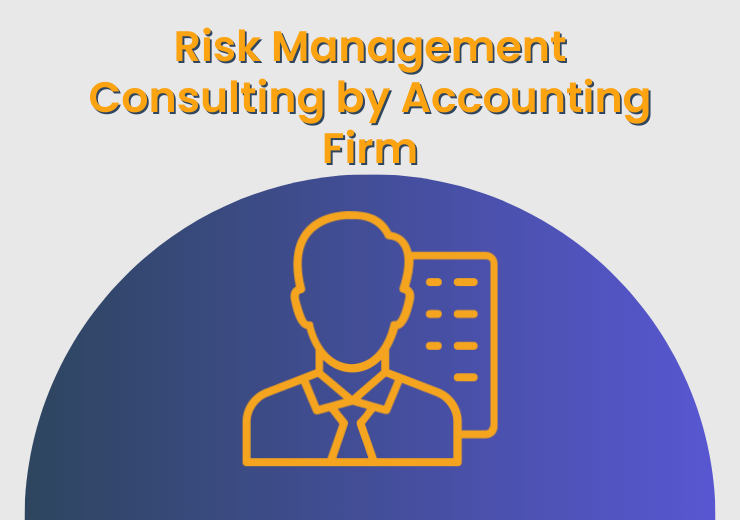 Risk Management Consulting by Accounting Firm