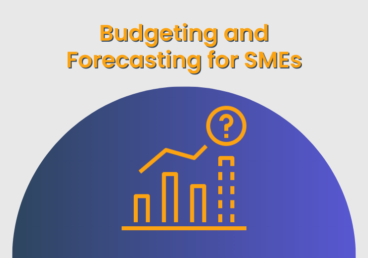 Budgeting and Forecasting for SMEs