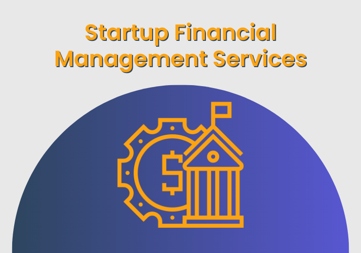 Startup Financial Management Services