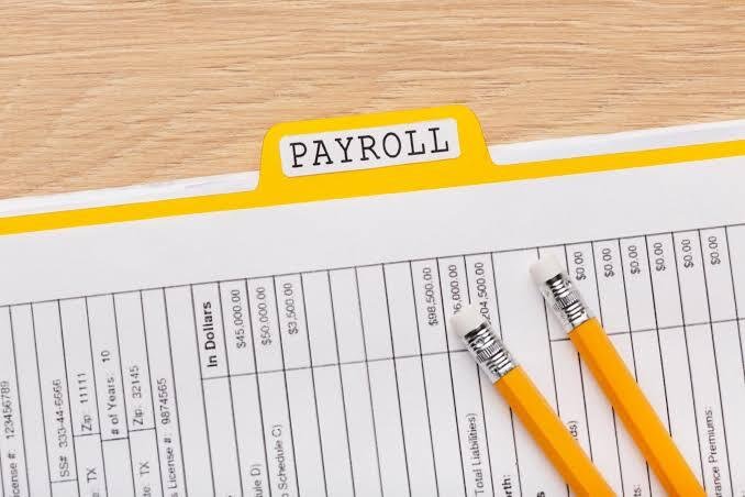 What Payroll Information Should Employers Provide Each Month?
